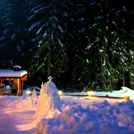 Shisharka 3* Govedartsi